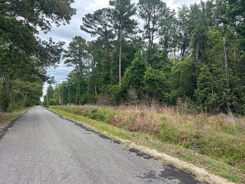 10 Acres Lincoln County, MS : Brookhaven : Lincoln County : Mississippi
