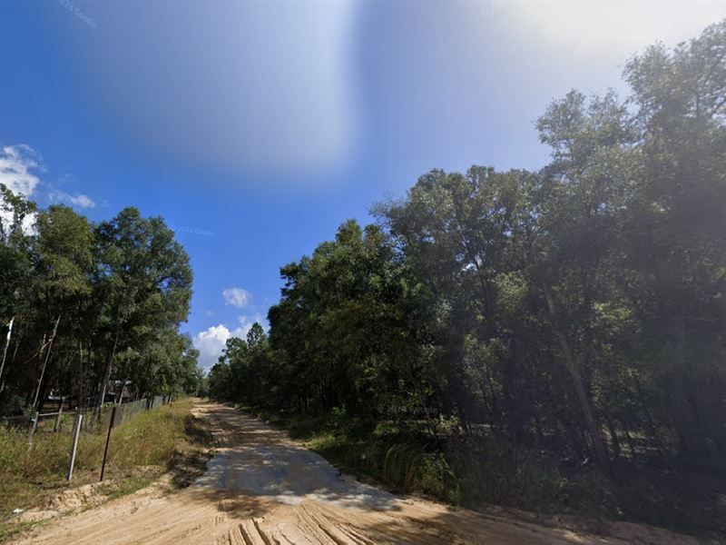 Double-Home Zoning Only $182/Month : Interlachen : Putnam County : Florida