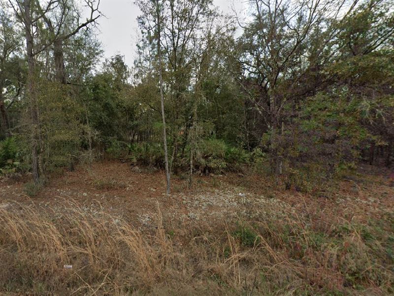 Interlachen Buildable Lot $182/Mo : Interlachen : Putnam County : Florida
