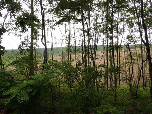 Views, Close to Town, Cleared : Evensville : Bledsoe County : Tennessee