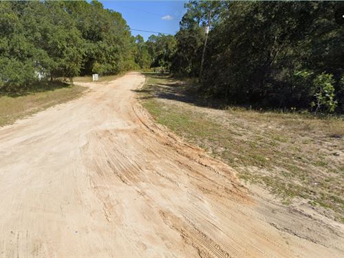 Buildable Lot, Interlachen Lakes : Interlachen : Putnam County : Florida
