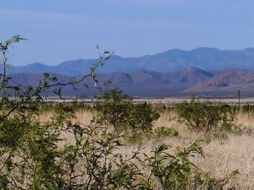 .19 Acres in Cochise County, AZ : Douglas : Cochise County : Arizona