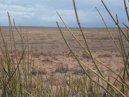 2.50 Acres in Navajo County, AZ : Sun Valley : Navajo County : Arizona