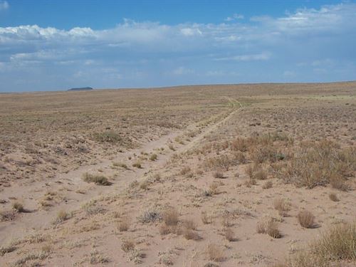 1.25 Acres in Navajo County, AZ : Sun Valley : Navajo County : Arizona