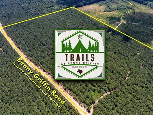 12.08 Acres, T-4, Trails at Benny : Dallardsville : Polk County : Texas