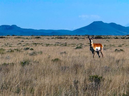 Off-Grid Living at Its Best : San Luis : Costilla County : Colorado