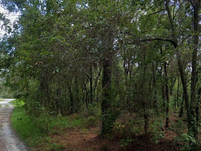 Posen St in New Port Richey : New Port Richey : Pasco County : Florida