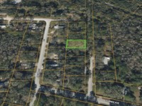 Posen St in New Port Richey : New Port Richey : Pasco County : Florida