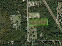 SW Wilson Springs Rd., Fort White : Fort White : Columbia County : Florida