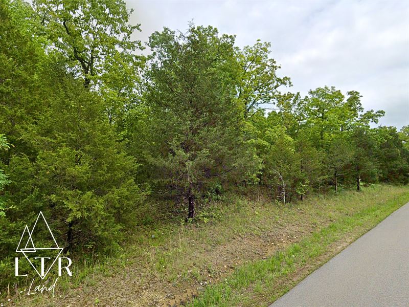 Pines & Peace of Mind : Horseshoe Bend : Izard County : Arkansas