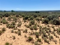 5 Acres in Tierra Amarilla, New Mexico : Tierra Amarilla : Rio Arriba County : New Mexico