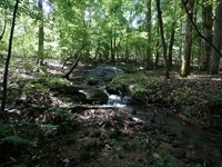 Residential Lot in North Coweta : Palmetto : Coweta County : Georgia