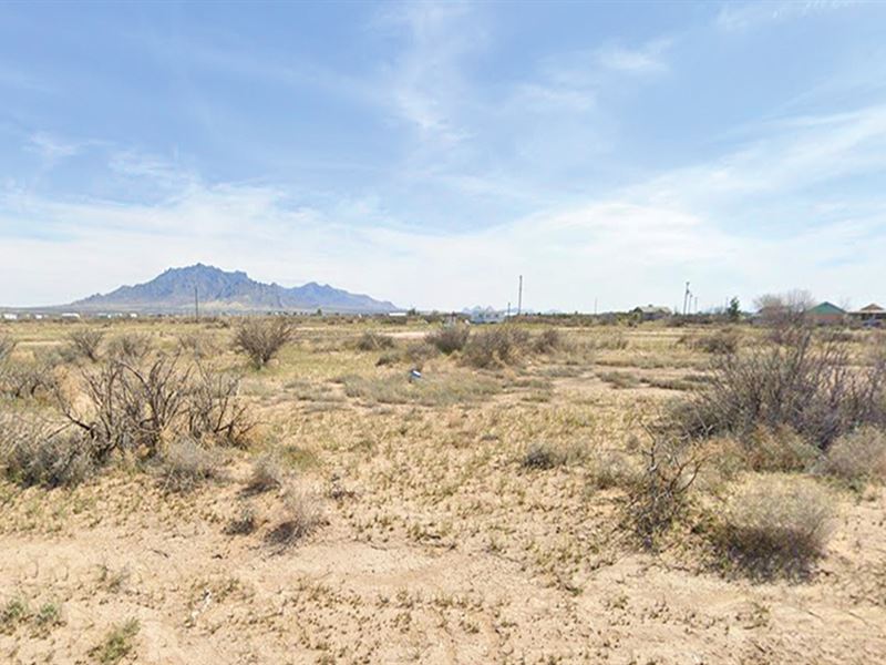 Prime Half Acre Awaits : Deming : Luna County : New Mexico