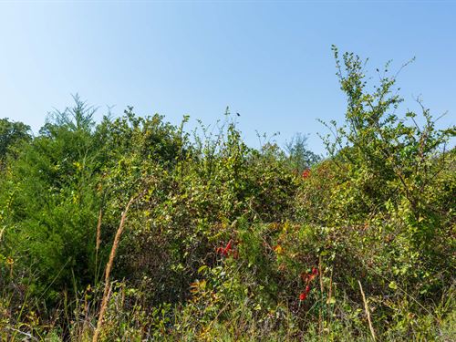 Canyon Creek Tract 17 : Stroud : Lincoln County : Oklahoma