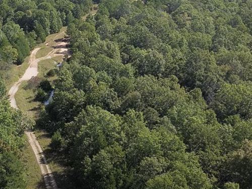 Private Retreat with Adjacent Lot : Horseshoe Bend : Izard County : Arkansas