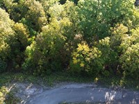 Double Lot Option Close to Lake : Horseshoe Bend : Izard County : Arkansas