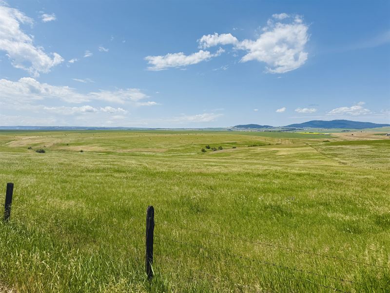 Wasem Road Parcel 1 : Cottonwood : Idaho County : Idaho