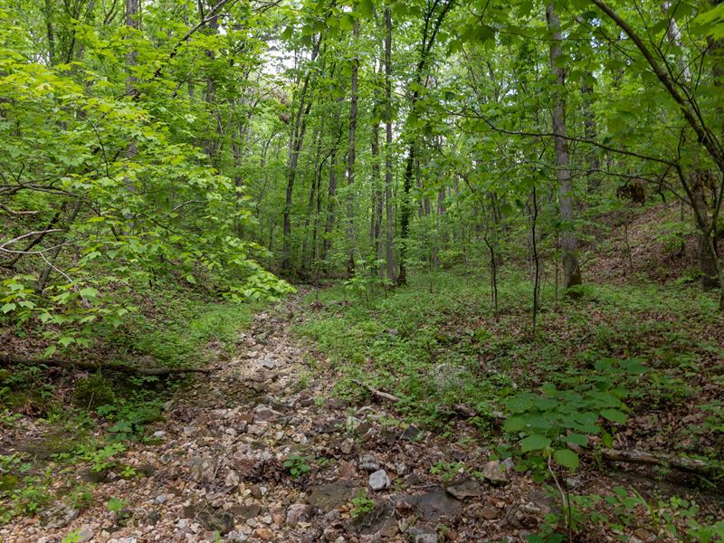 Sleepy Hollow Phase II Tract 69 : Hartshorn : Texas County : Missouri