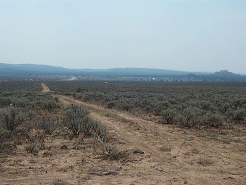 .25 Acre in Taos County, NM : Tres Piedras : Taos County : New Mexico