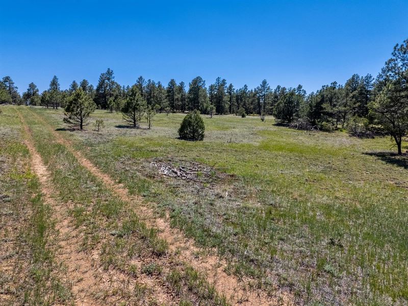 13583 Meadow Lark Drive 7/205, West : Weston : Las Animas County : Colorado