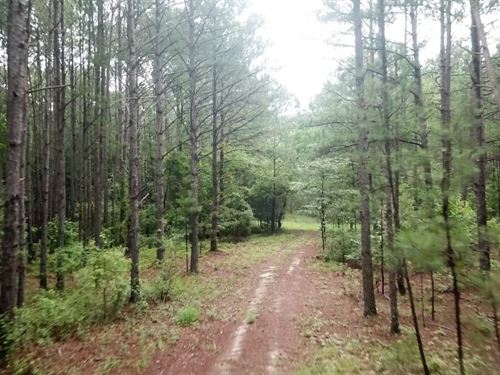 3490 Tidwell Road Lizella GA 18.5 : Lizella : Bibb County : Georgia