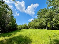 5 Acres in Wadley, AL : Wadley : Randolph County : Alabama