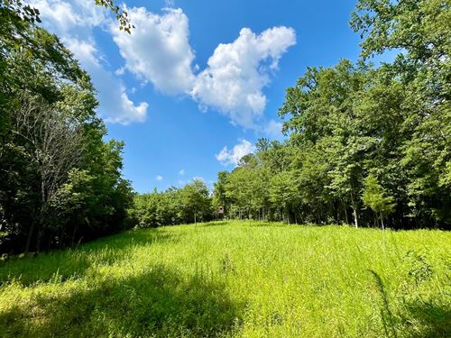 5 Acres in Wadley, AL : Wadley : Randolph County : Alabama