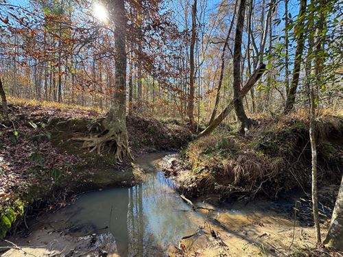 12.18 Acres, Camp Hill, Tallapo : Camp Hill : Tallapoosa County : Alabama