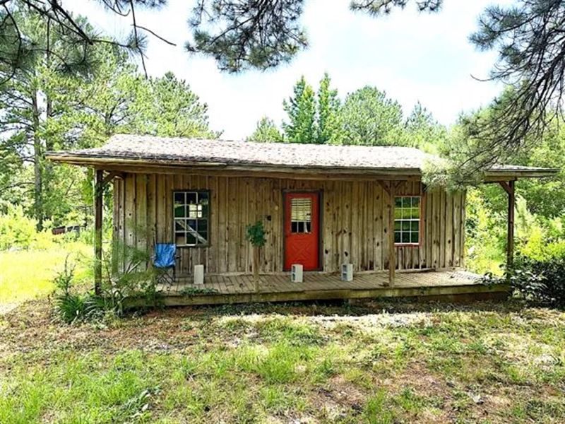 2.8 Acre Homesite in Jasper County : Bay Springs : Jasper County : Mississippi