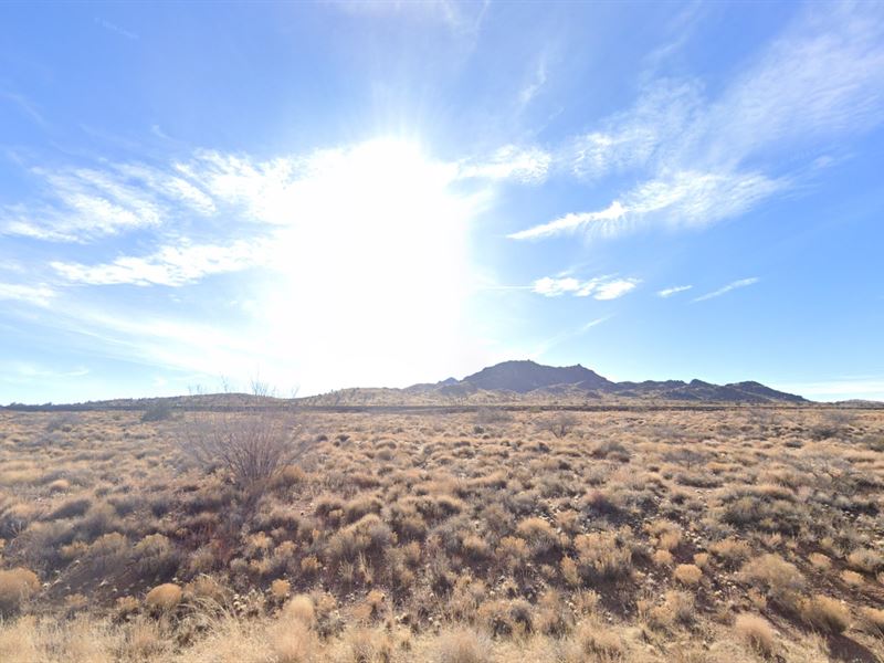 Land That Grows with You : Kingman : Mohave County : Arizona