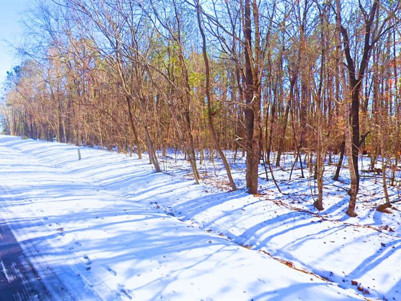 1 Acre Only 12 Mins to Macon : Macon : Warren County : North Carolina