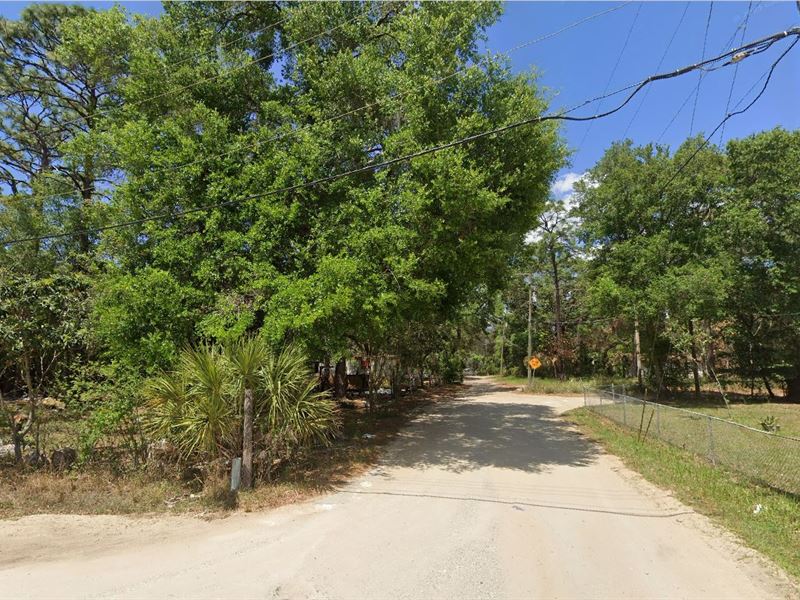 Two-Family Land in Ocklawaha Florid : Ocklawaha : Marion County : Florida