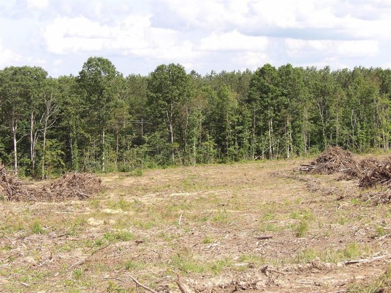No Restrictions, Creek, Rd Frontage : Evensville : Bledsoe County : Tennessee