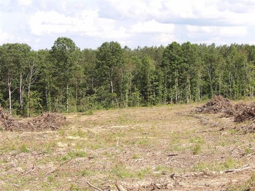 No Restrictions, Creek, Rd Frontage : Evensville : Bledsoe County : Tennessee