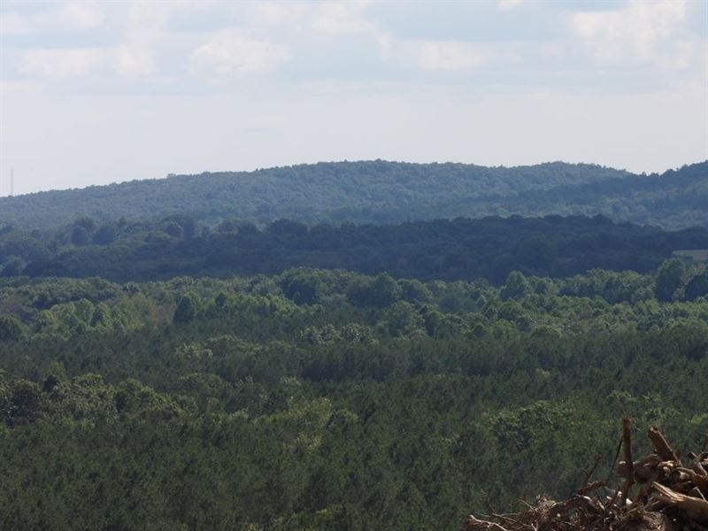 Views, Lays Well, Building Spots : Evensville : Bledsoe County : Tennessee