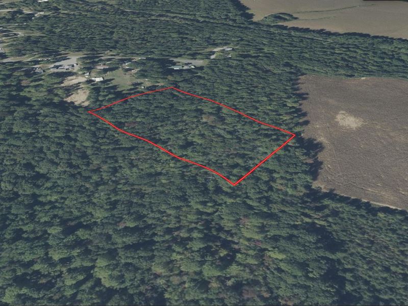 4.02 Acres in Lyon County KY : Kuttawa : Lyon County : Kentucky