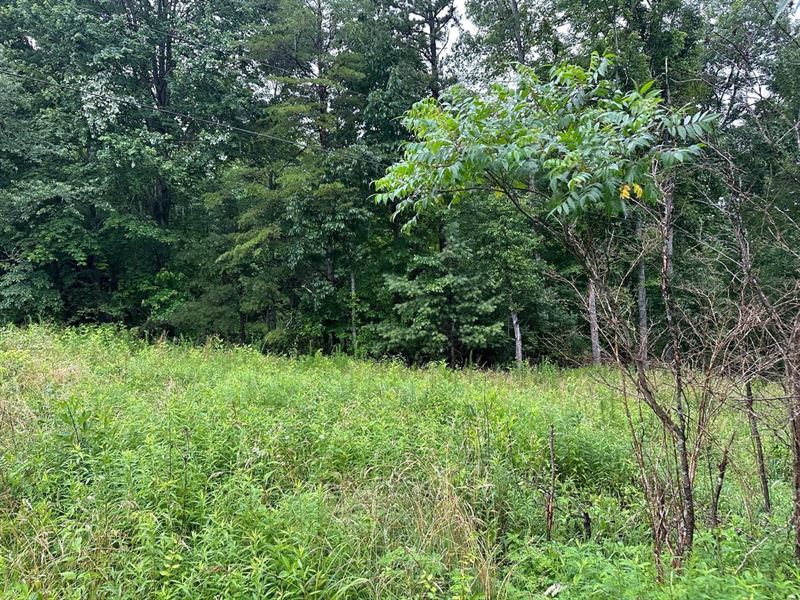 5.29 Acres Unrestricted Property : Palmer : Grundy County : Tennessee