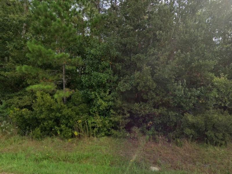 Picturesque Wooded Ocean Springs MS : Ocean Springs : Jackson County : Mississippi