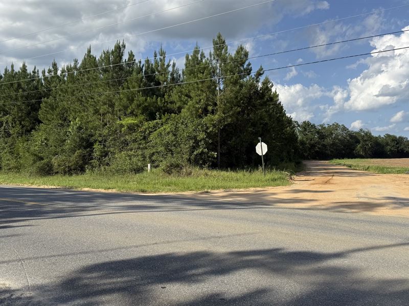 Hwy 71 & Mission Road 3.61 Acre : Marianna : Jackson County : Florida