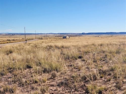 Apache AZ Land, $109 Down : Adamana : Apache County : Arizona