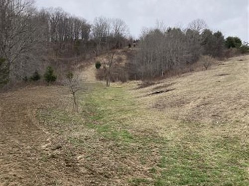 Ashe Co Land for $759 Down : Grassy Creek : Ashe County : North Carolina