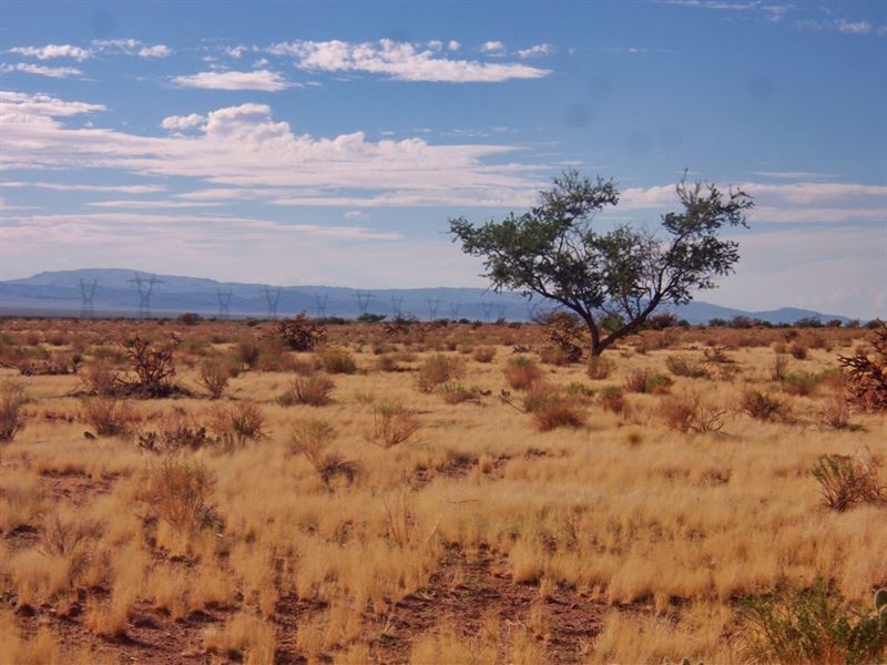 Saddle Up & Stay Awhile : Valle Vista : Mohave County : Arizona