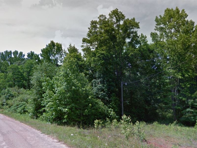 Big Backyard Starts Here : Danielsville : Madison County : Georgia