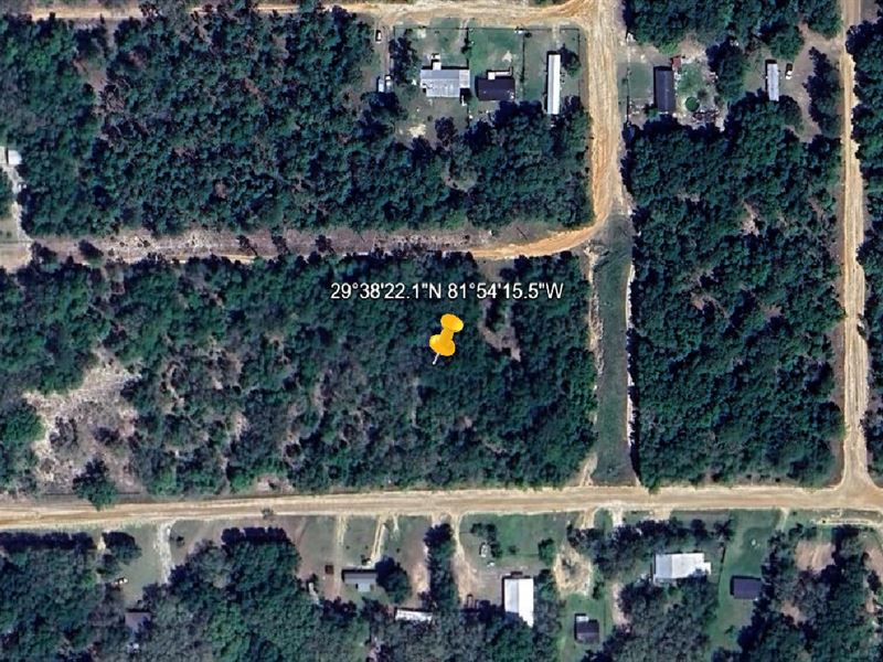 Affordable Acreage Alert $199 Down : Interlachen : Putnam County : Florida