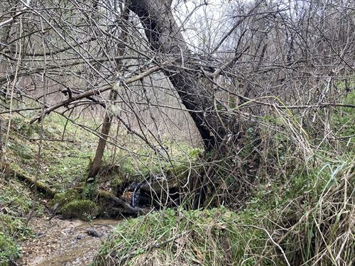$449 Down, NC Land Win : Grassy Creek : Ashe County : North Carolina
