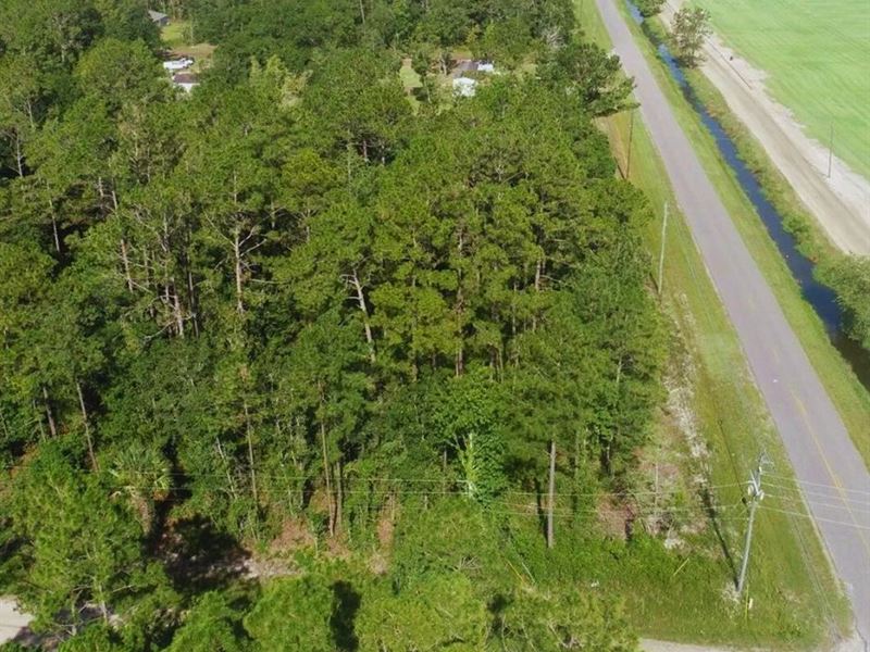 Unplug & Unwind in FL $339 Monthly : Flagler Estates : Flagler County : Florida