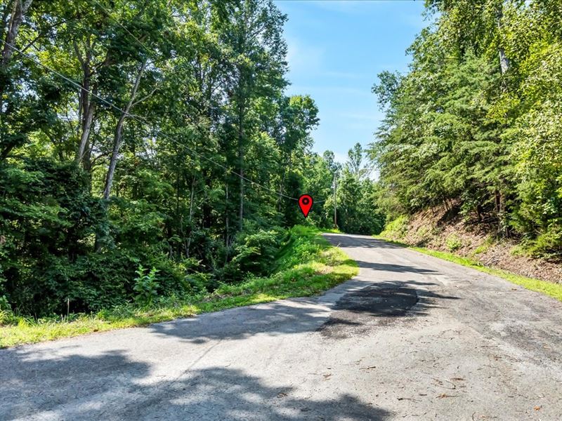 Wooded Lot with Norris Lake Access : Sharps Chapel : Union County : Tennessee