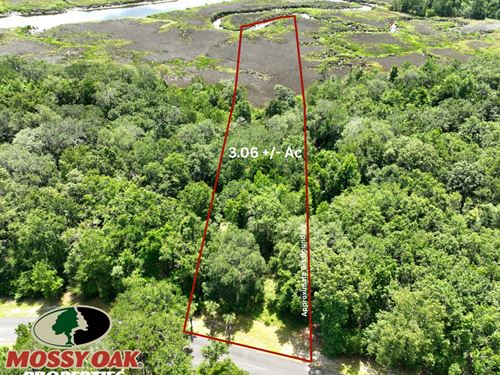 3.06 Lot 29 Middleton Plantatio : White Oak : Camden County : Georgia