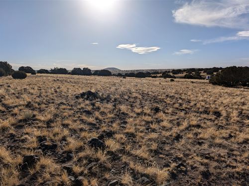 1.07 Acres in Concho Valley : Concho : Apache County : Arizona
