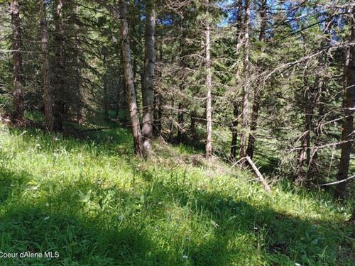 Sunning on The Joe : Saint Maries : Benewah County : Idaho